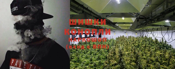 стаф Бугульма